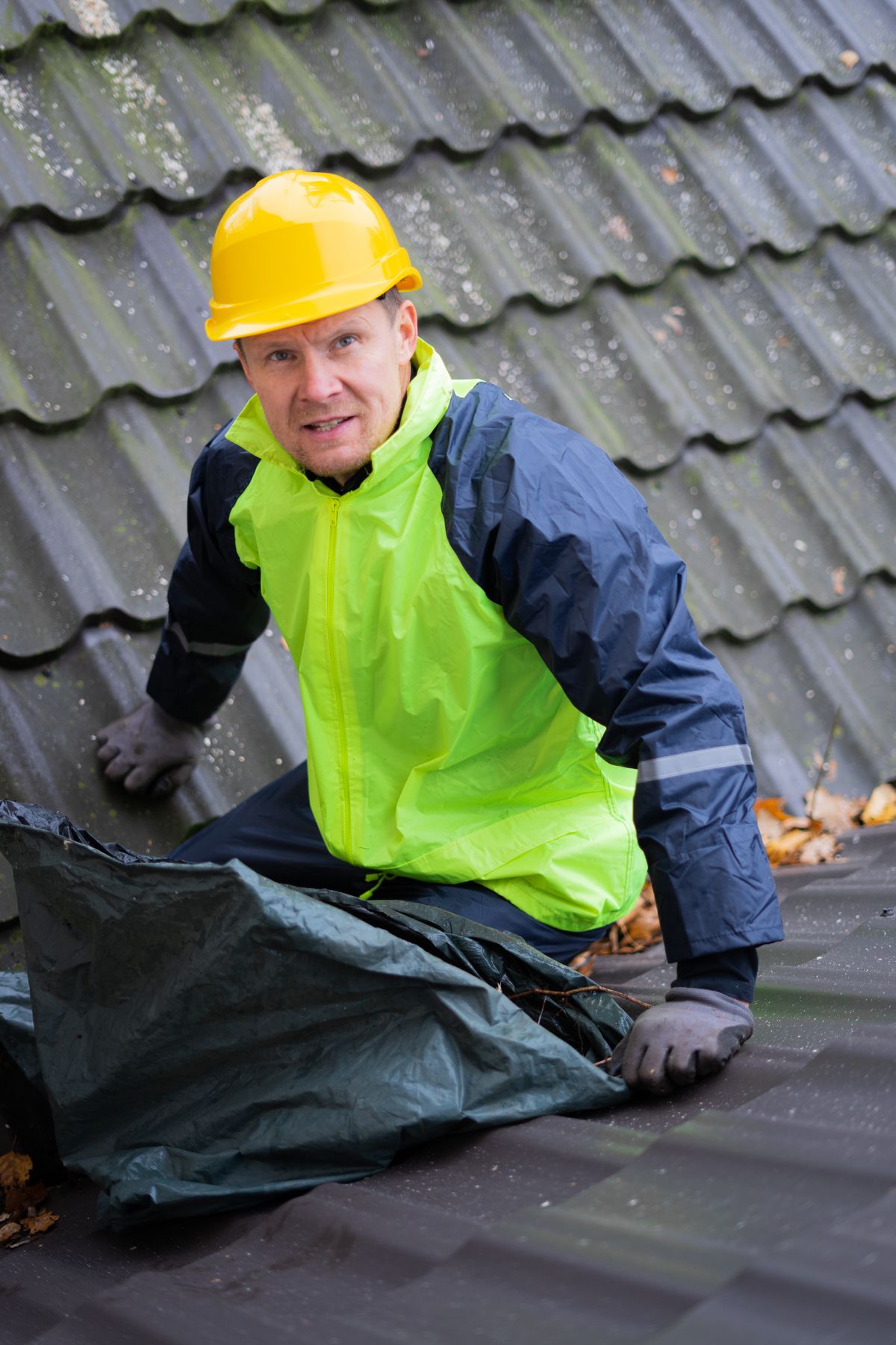Gutter and Downpipe Clearing