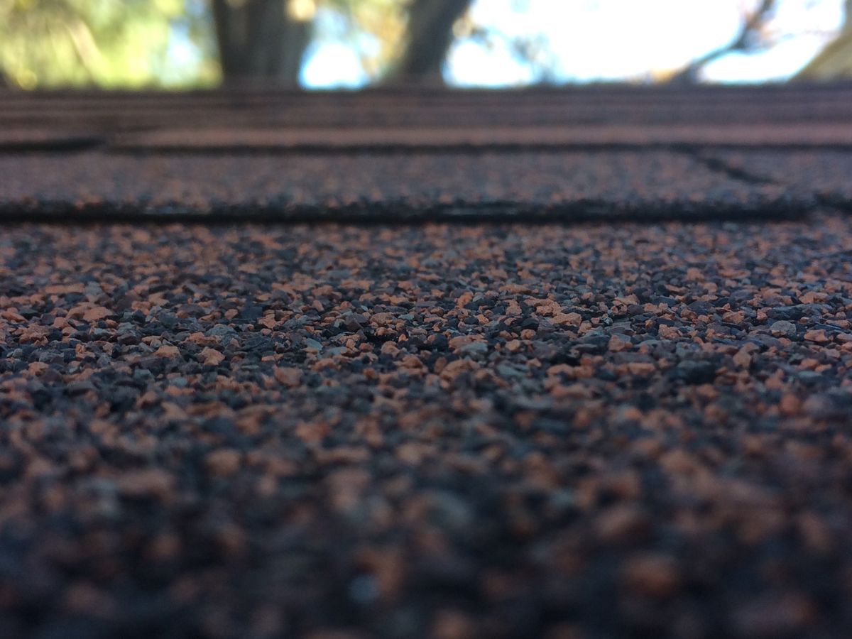 Timberline Shingles